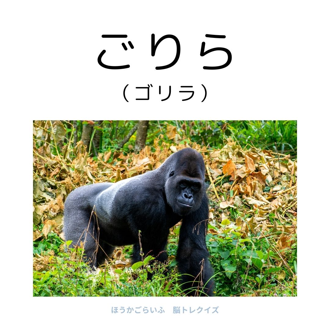 高齢者向け（無料）言葉の並び替えで脳トレしよう！文字（ひらがな）を並び替える簡単なゲーム【動物の名前】健康寿命を延ばす鍵